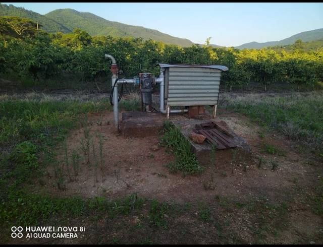 29HA FARM FOR SALE IN LEVUBU